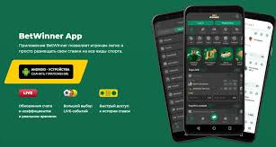 Discover BetWinner The Premier Online Gambling Platform